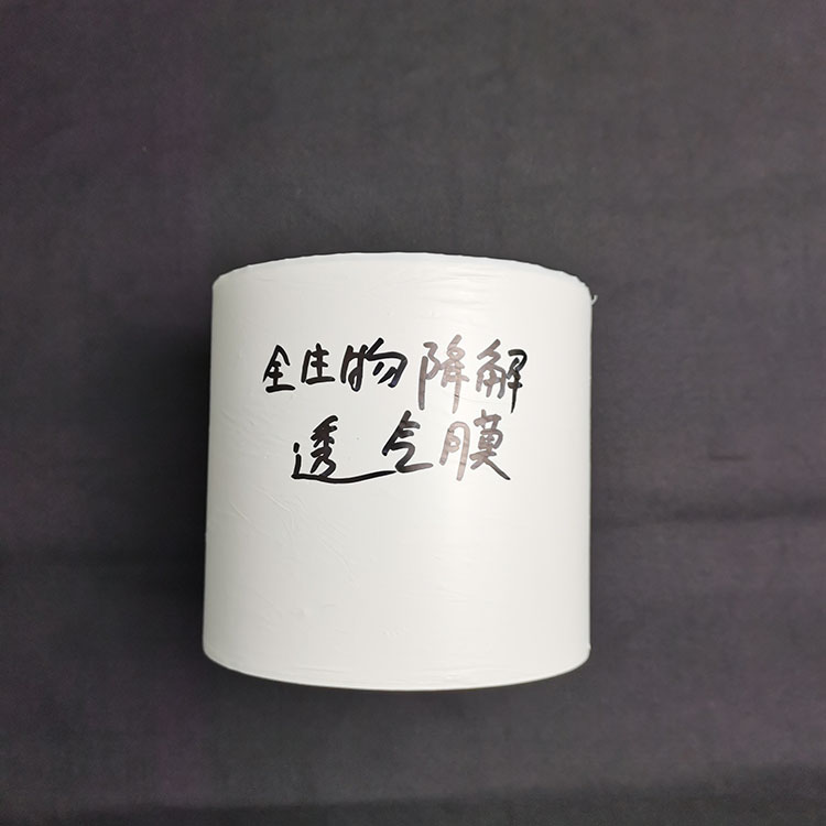 东莞环保胶袋生产厂家